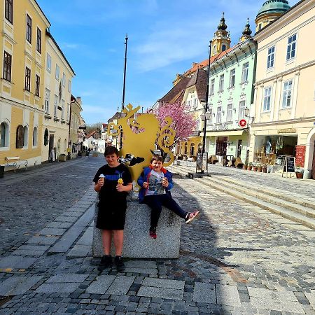 Schon Wohnen Beim Stift Melk Apartment Bagian luar foto